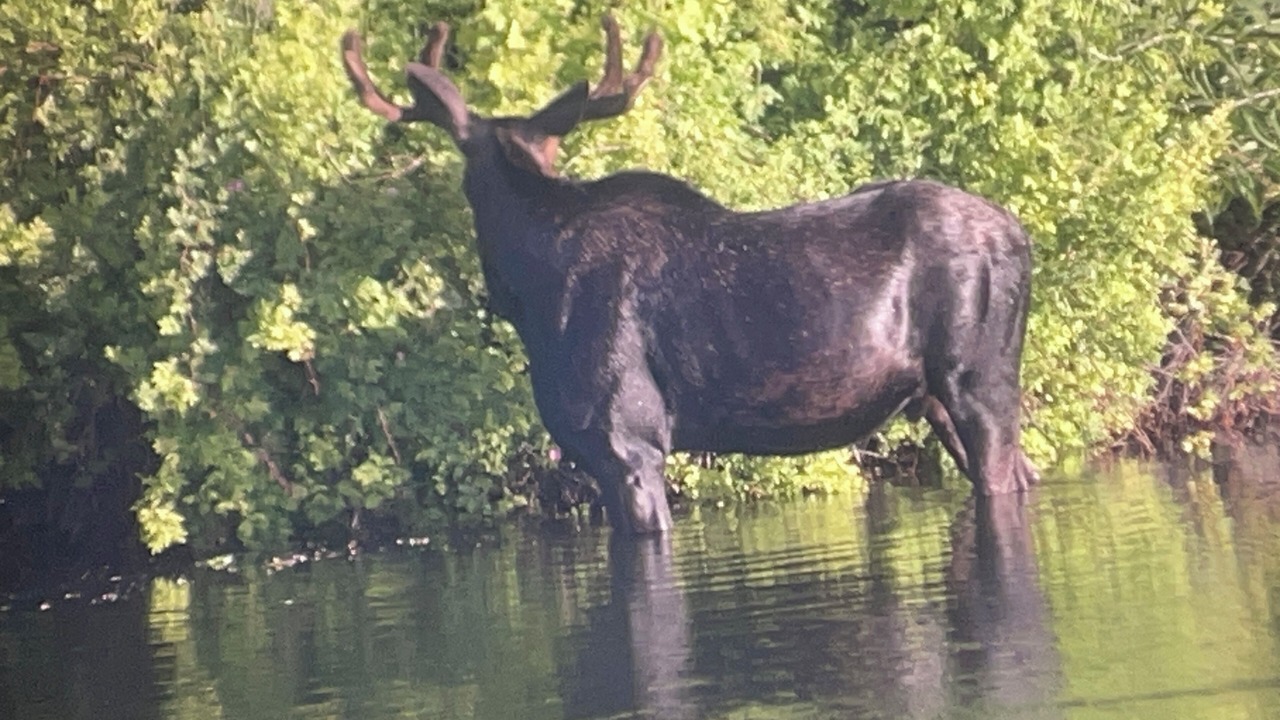 Photo of Others in Power County