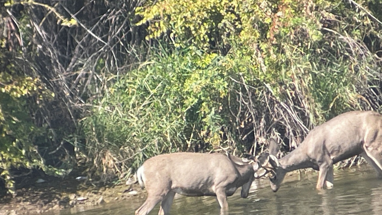 Photo of Others in Power County