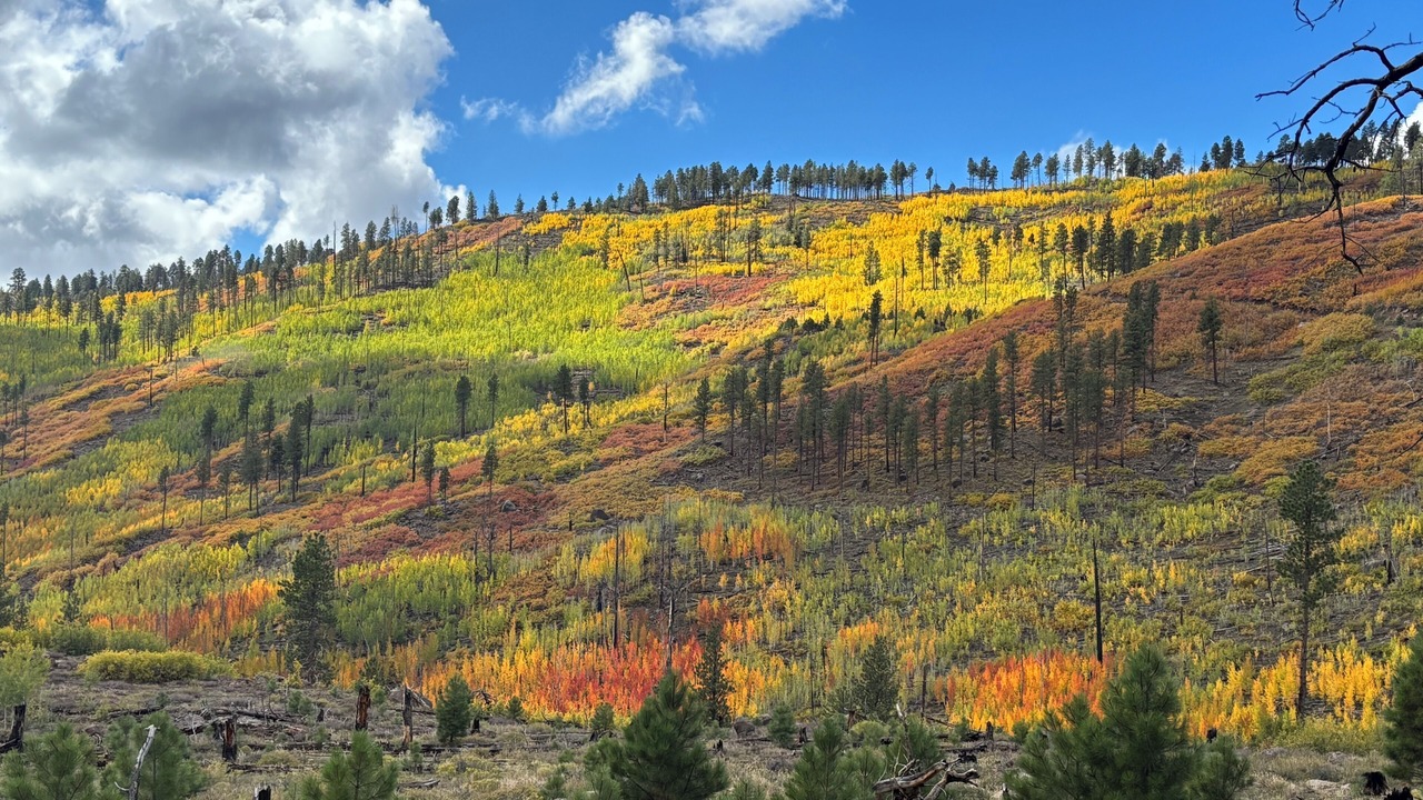 Photo of Others in Boulder