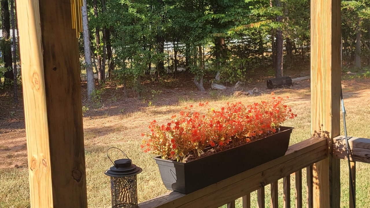 Photo of Outdoor in Edgemoor