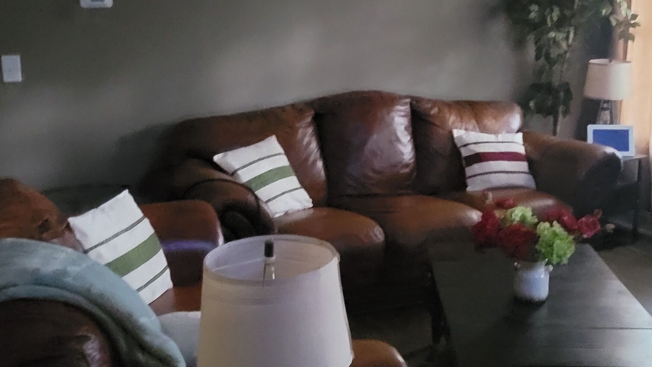 Photo of Livingroom in Edgemoor