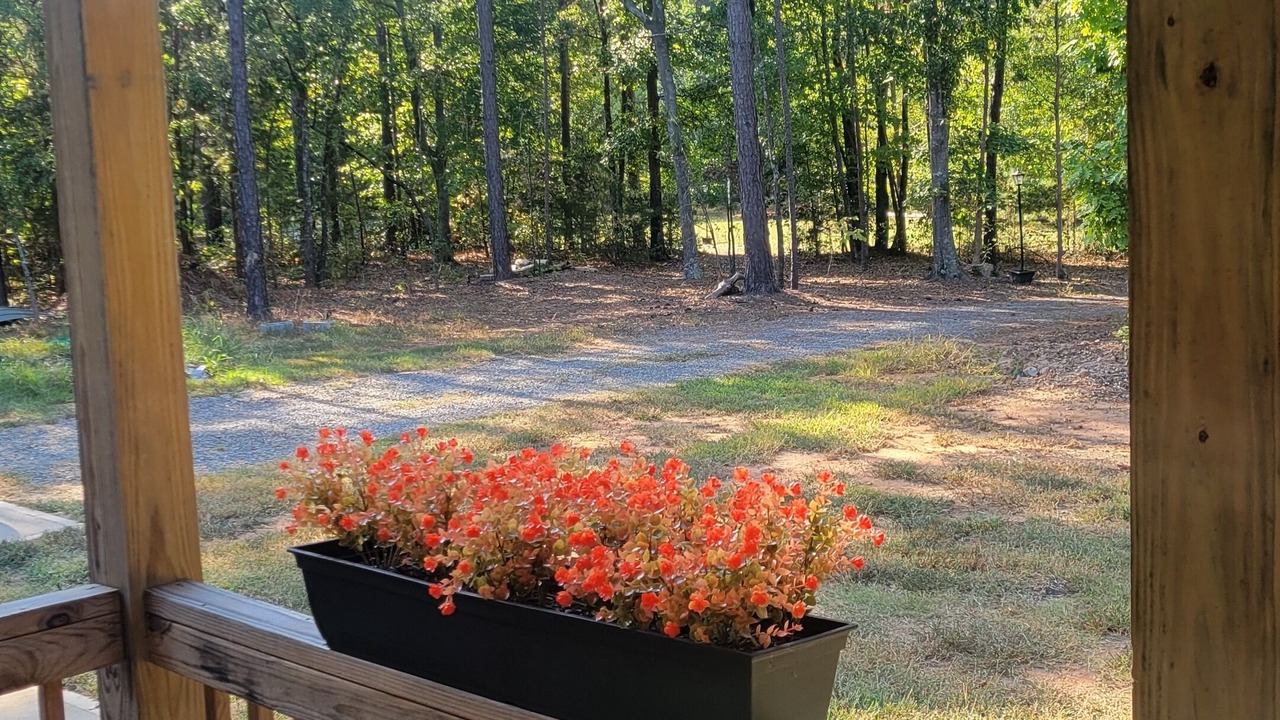 Photo of Outdoor in Edgemoor