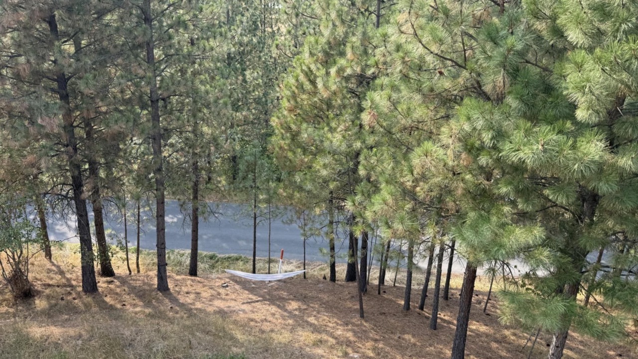 Photo of Outdoor in Troy
