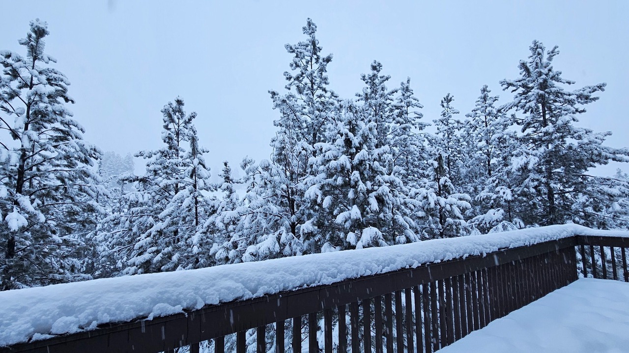 Photo of Outdoor in Troy