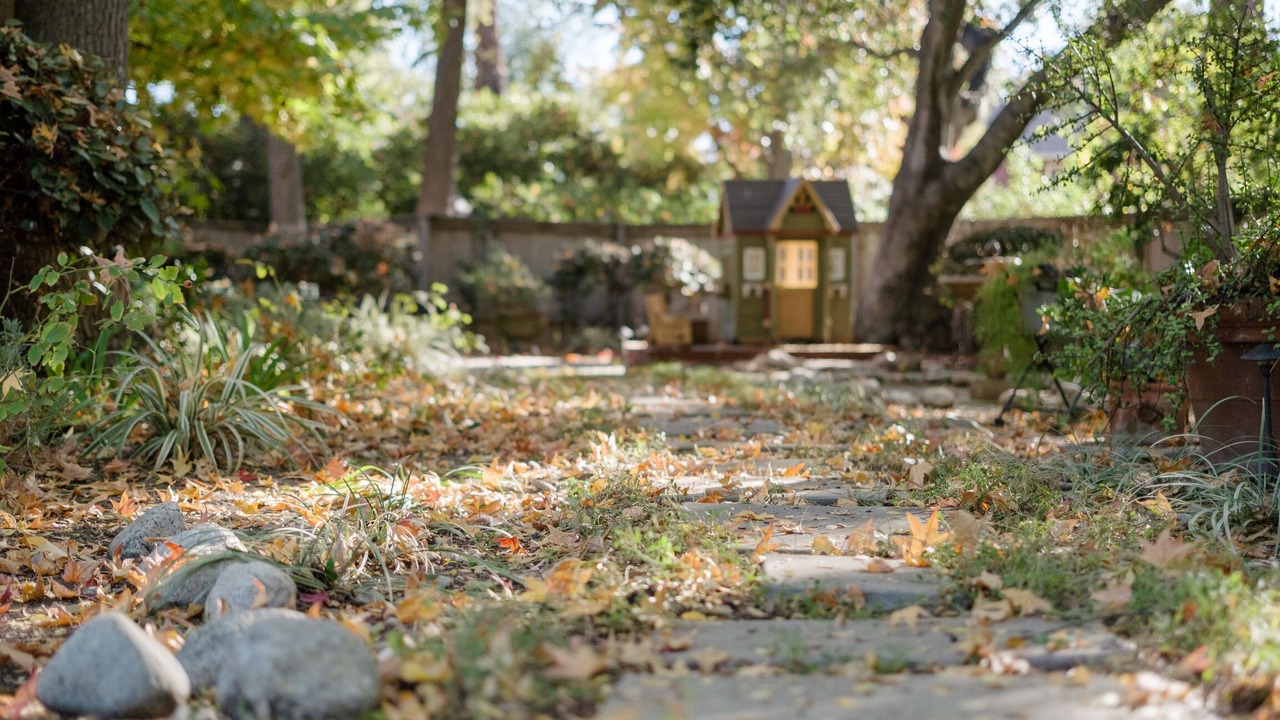 Photo of Outdoor in South Arroyo