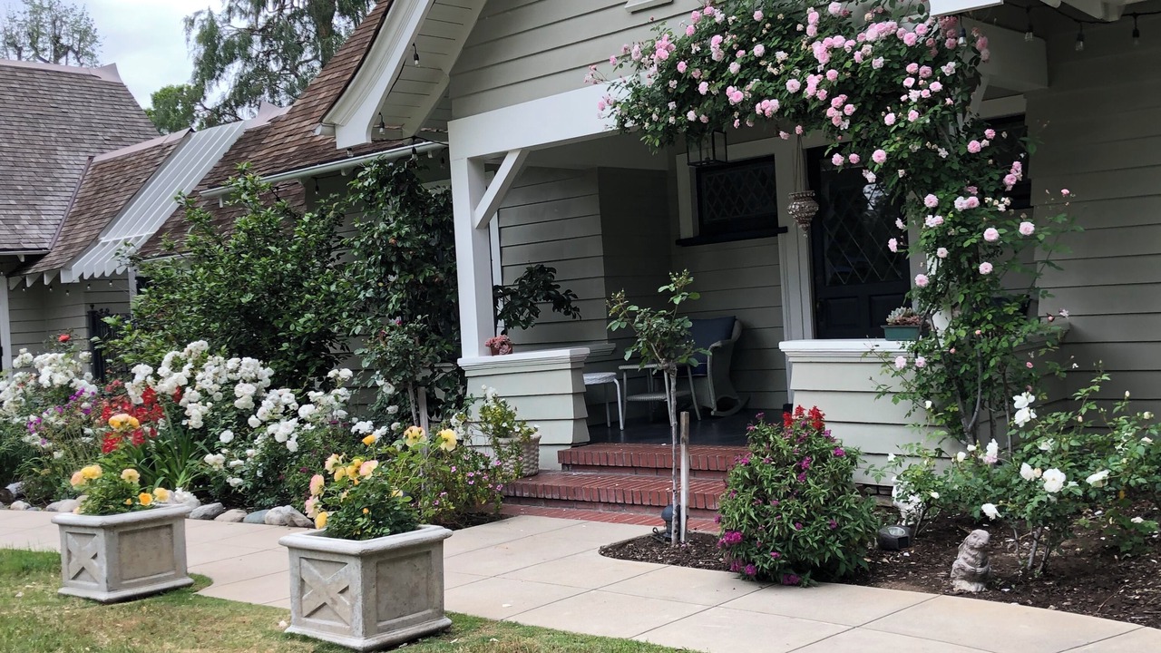 Photo of Outdoor in South Arroyo