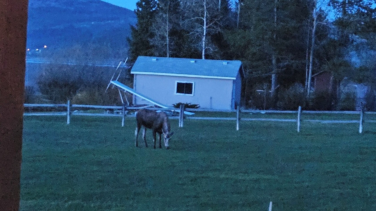 Photo of Outdoor in Georgetown
