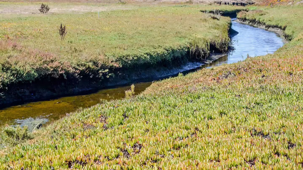 Photo of Others in Playa Del Rey