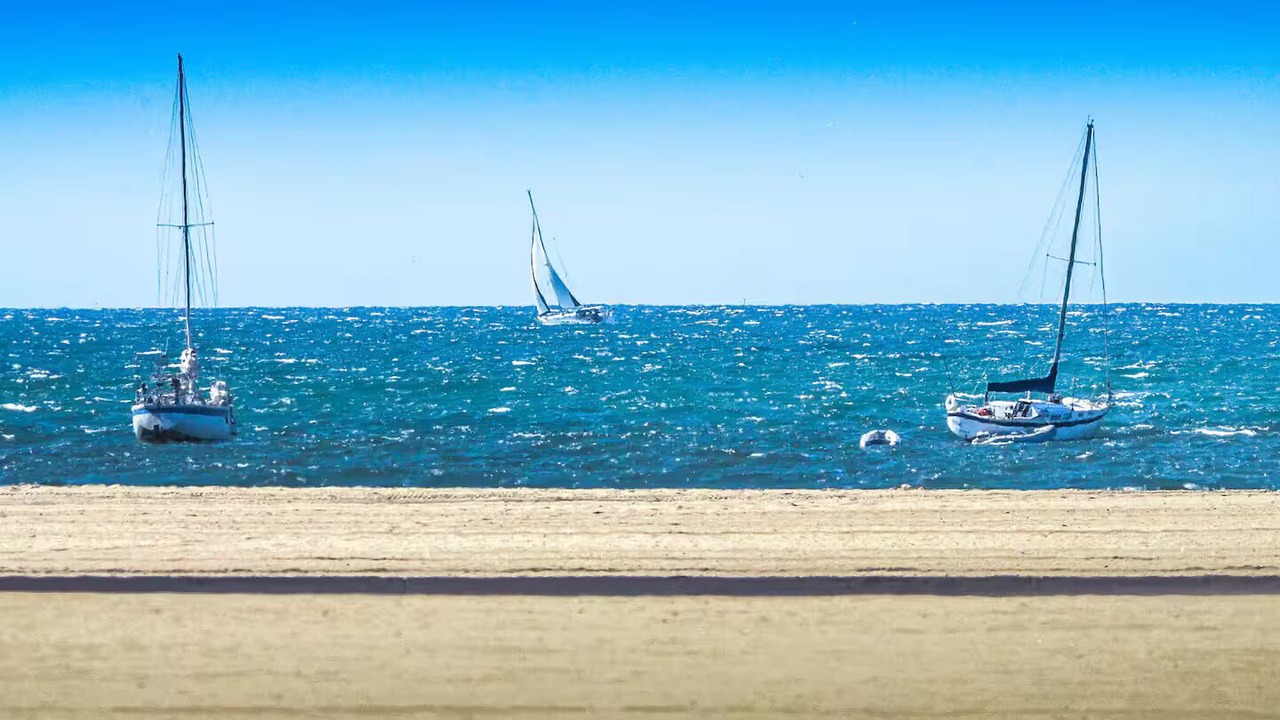 Photo of Others in Playa Del Rey