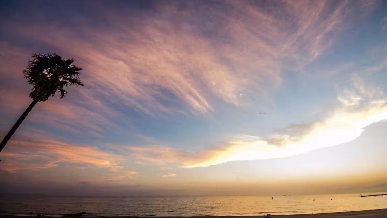 Photo of Others in Playa Del Rey
