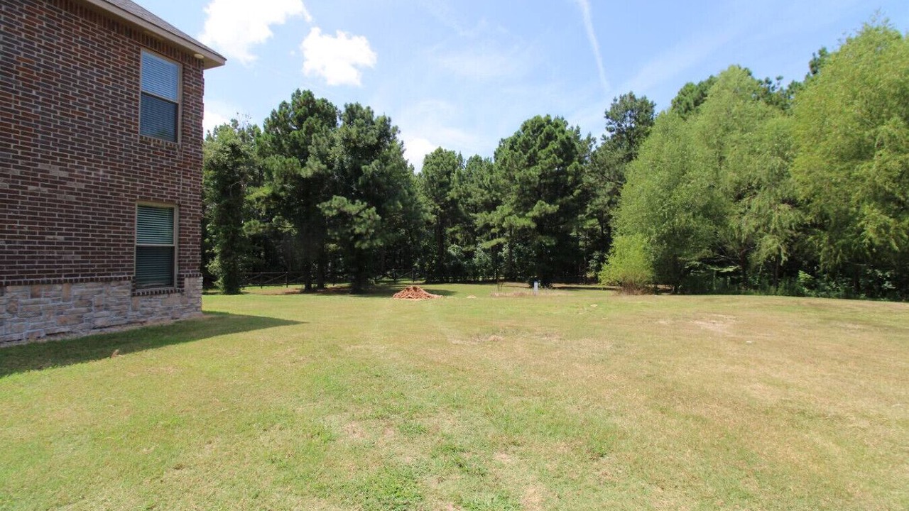 Photo of Outdoor in Ferndale