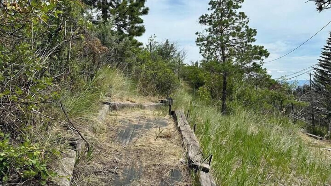 Photo of Outdoor in Helena