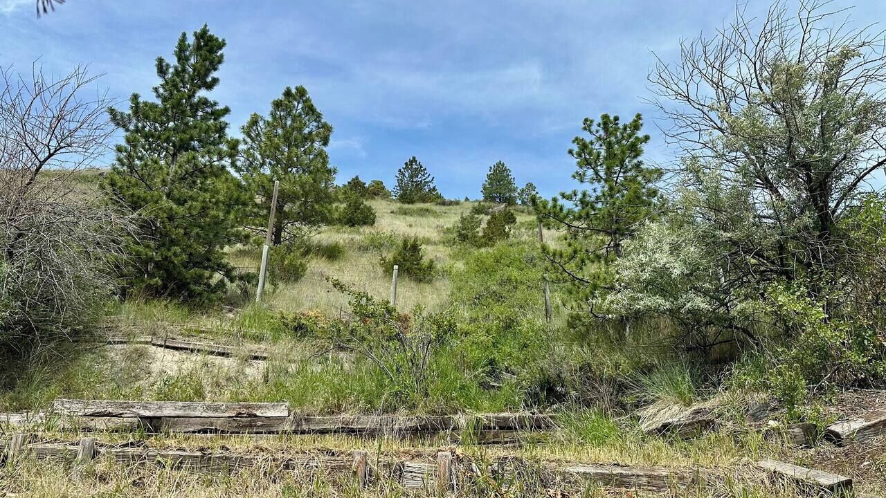Photo of Outdoor in Helena