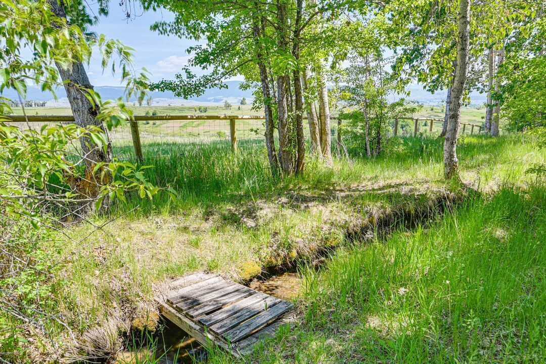Photo of Outdoor in Stevensville