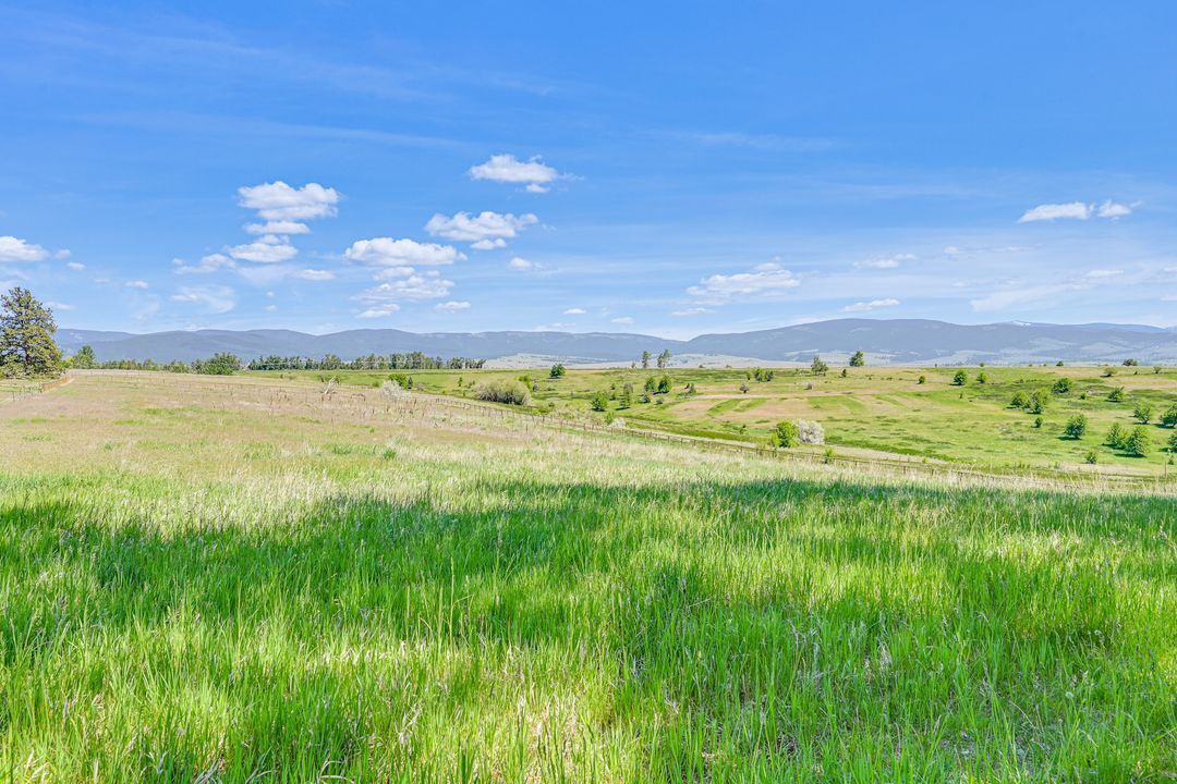 Photo of Others in Stevensville