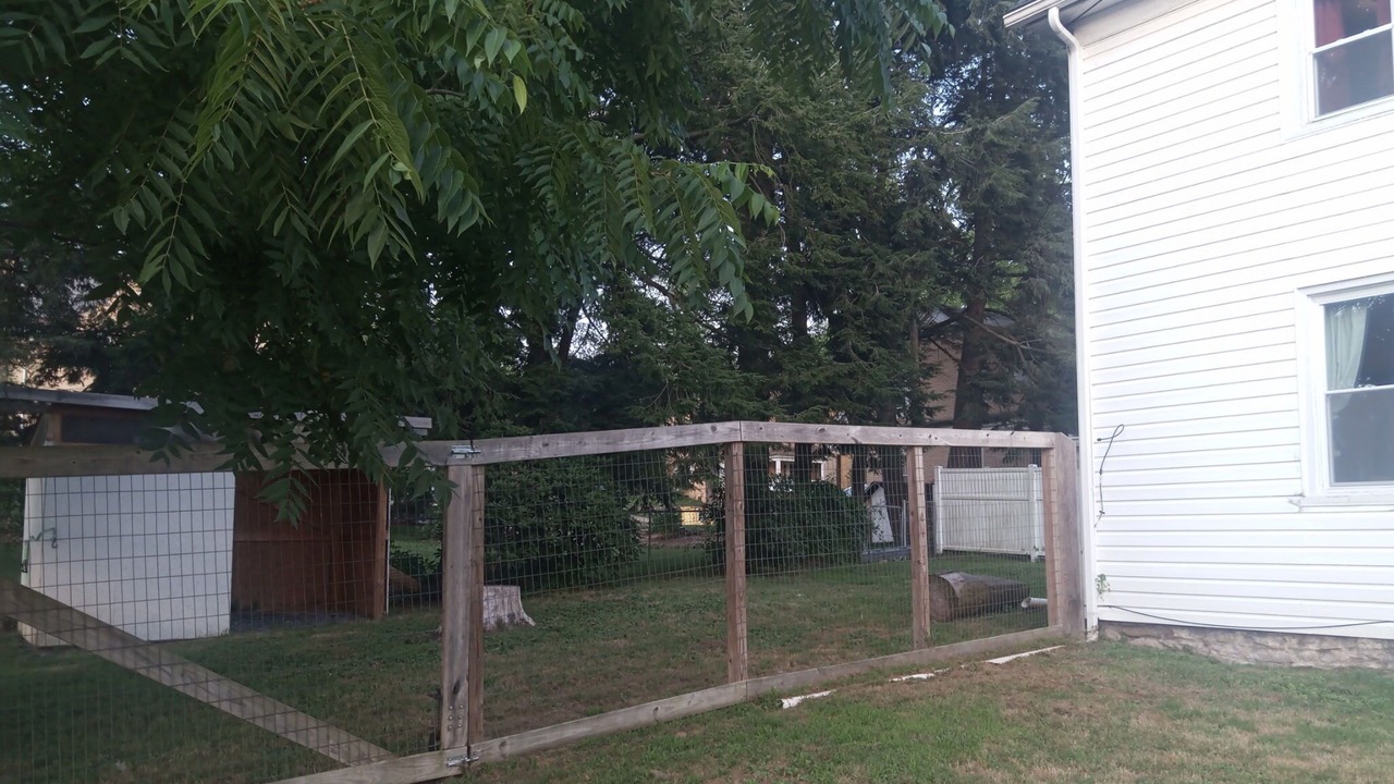 Photo of Outdoor in Hawk Run