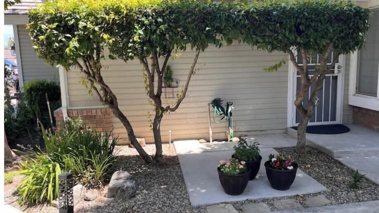Photo of Outdoor in Greenacres