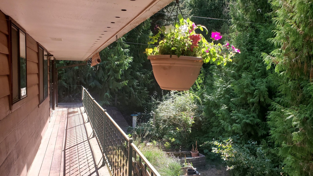 Photo of Outdoor in Mead