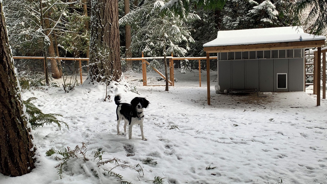 Photo of Outdoor in North Creek