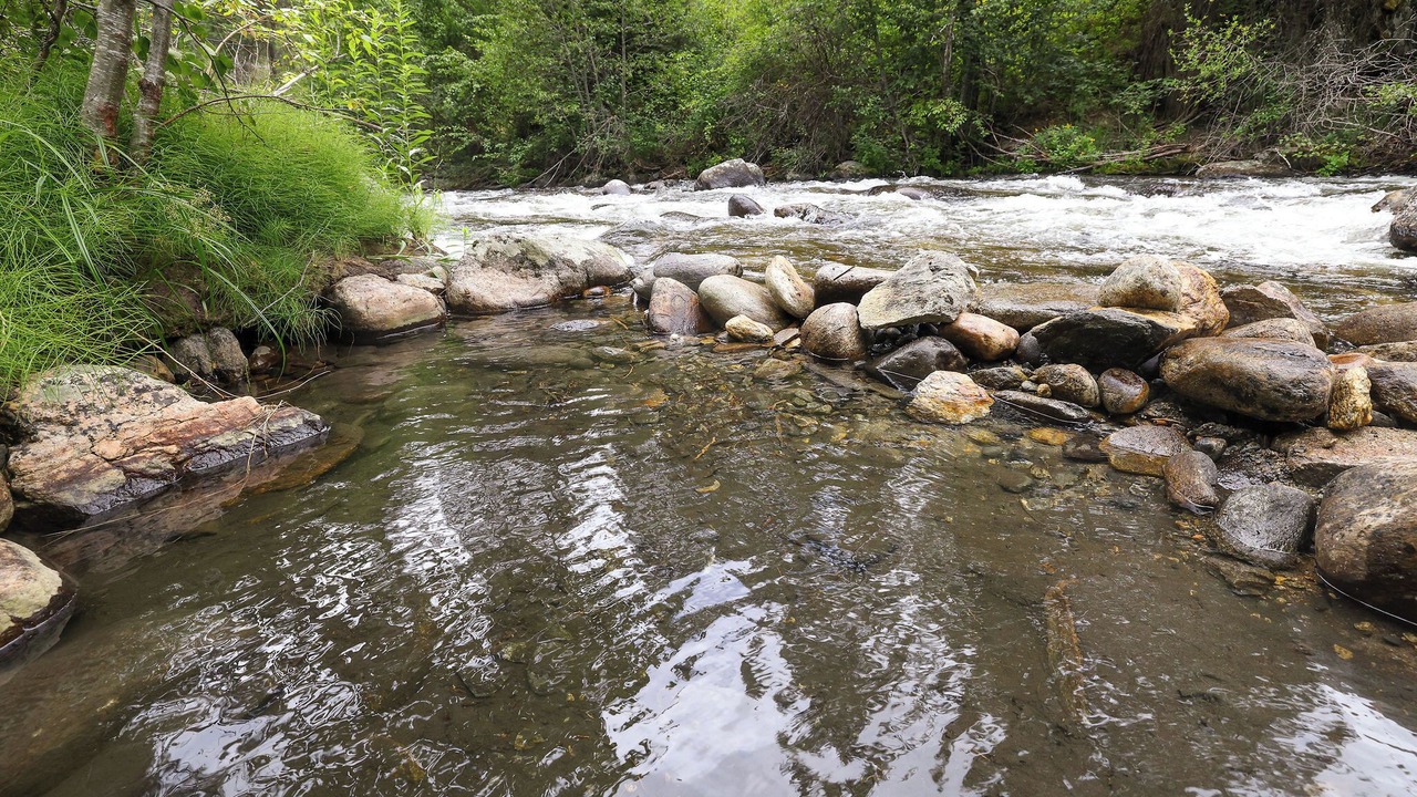 Photo of Others in New Meadows