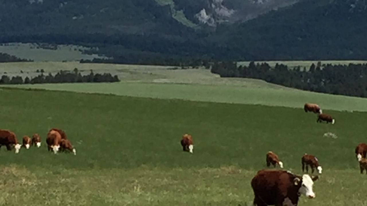 Photo of Others in Broadwater County