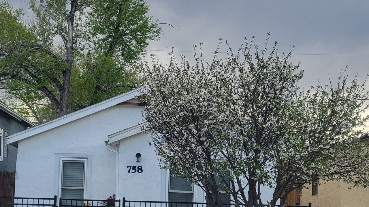 Photo of Others in Laramie