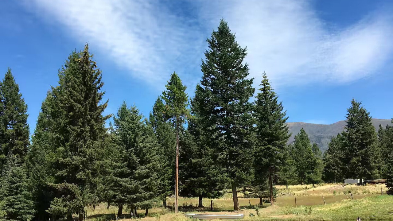 Photo of Others in Seeley Lake