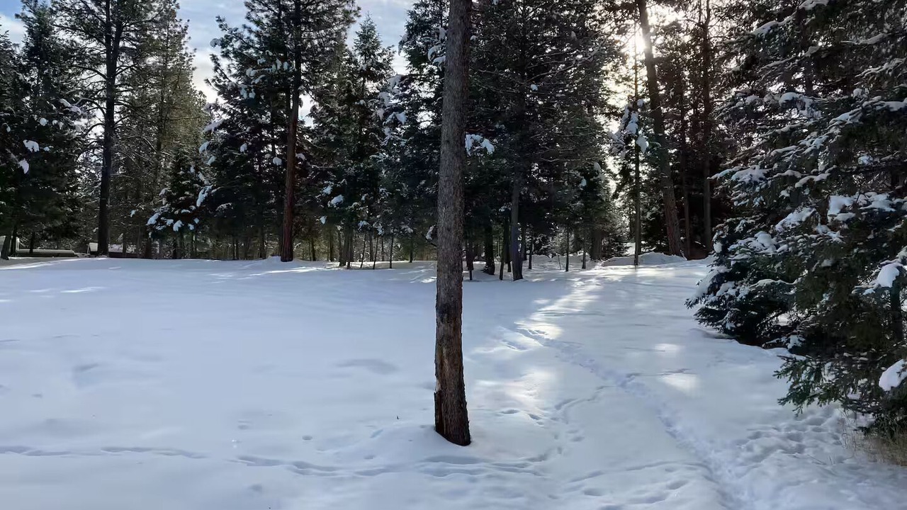 Photo of Others in Seeley Lake