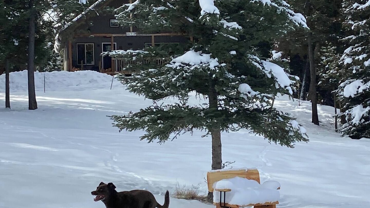 Photo of Outdoor in Seeley Lake