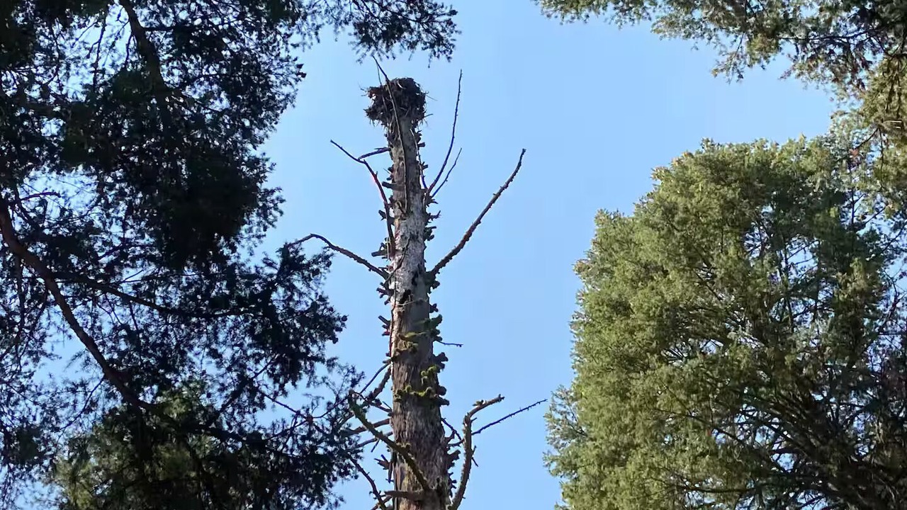 Photo of Others in Seeley Lake
