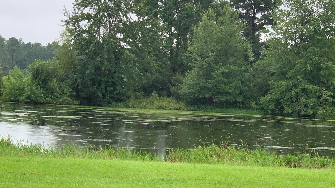 Photo of Others in Orangeburg