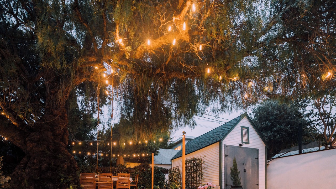 Photo of Outdoor in Palms