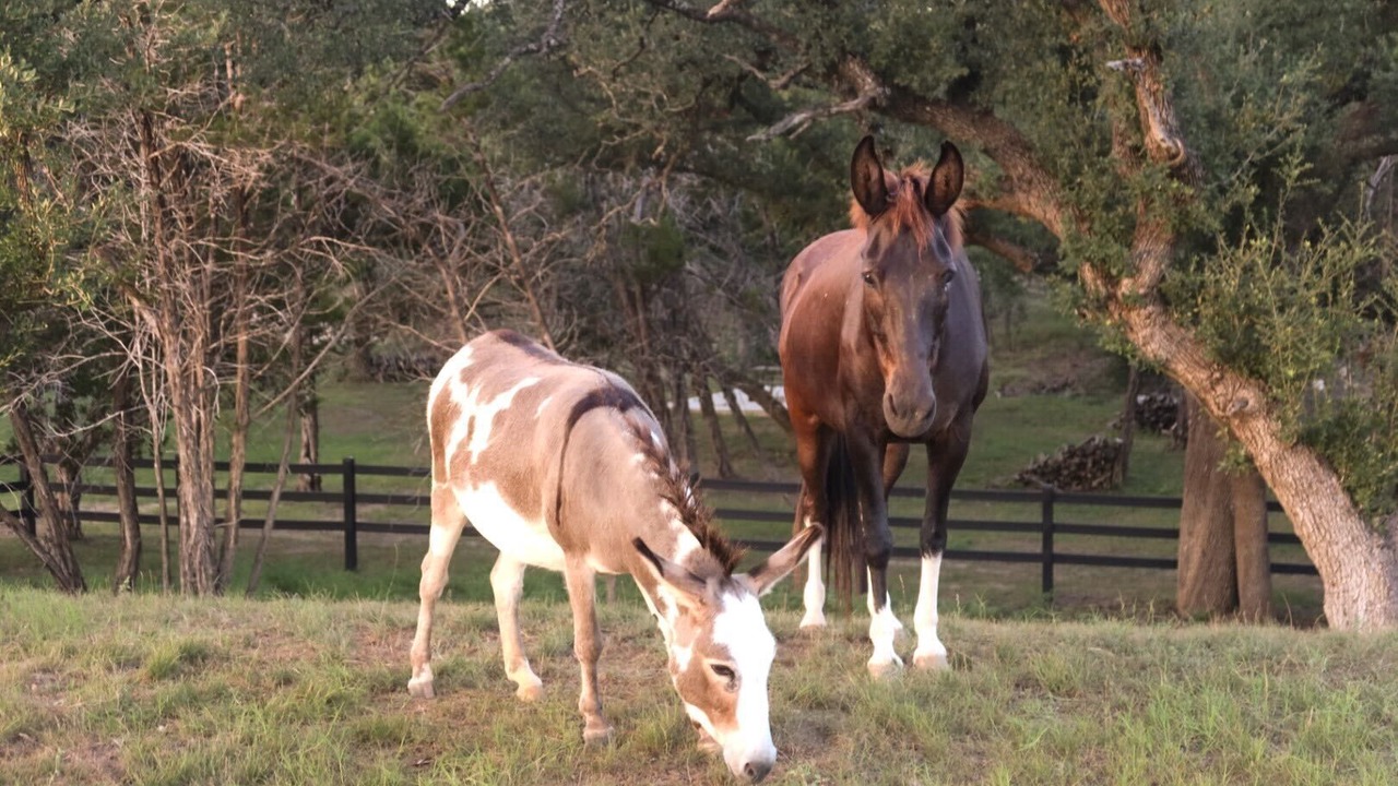 Photo of Others in Henly