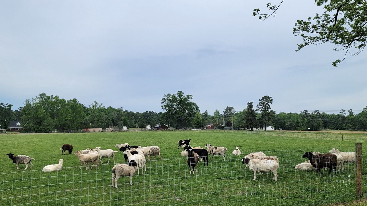 Photo of Others in Whiteville