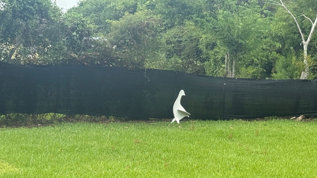 Photo of Outdoor in Clute