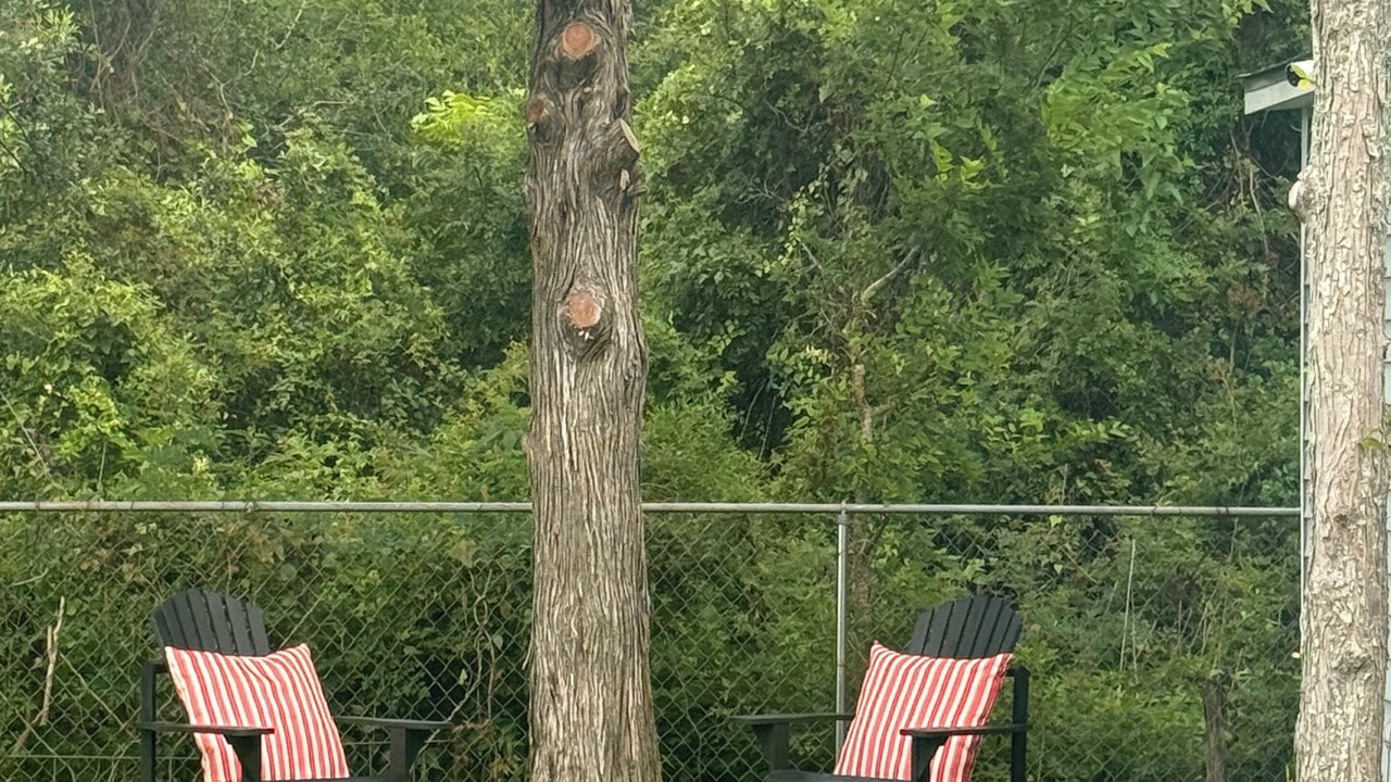 Photo of Outdoor in Clute