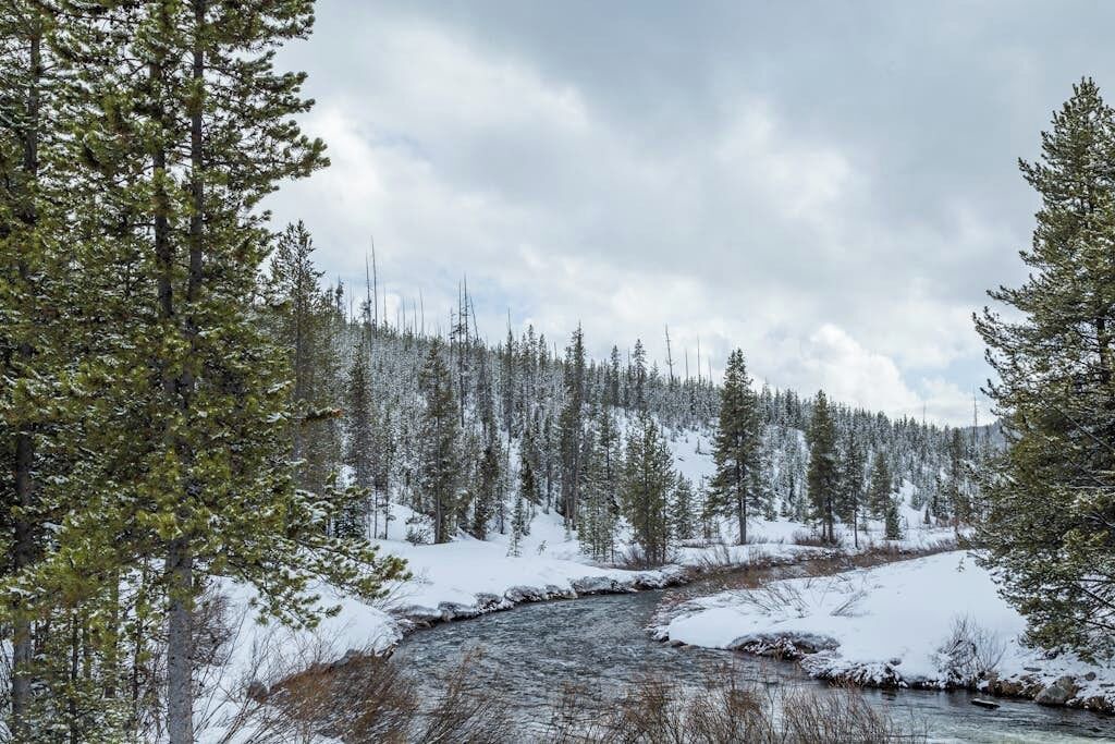 Photo of Others in Big Sky Meadow Village