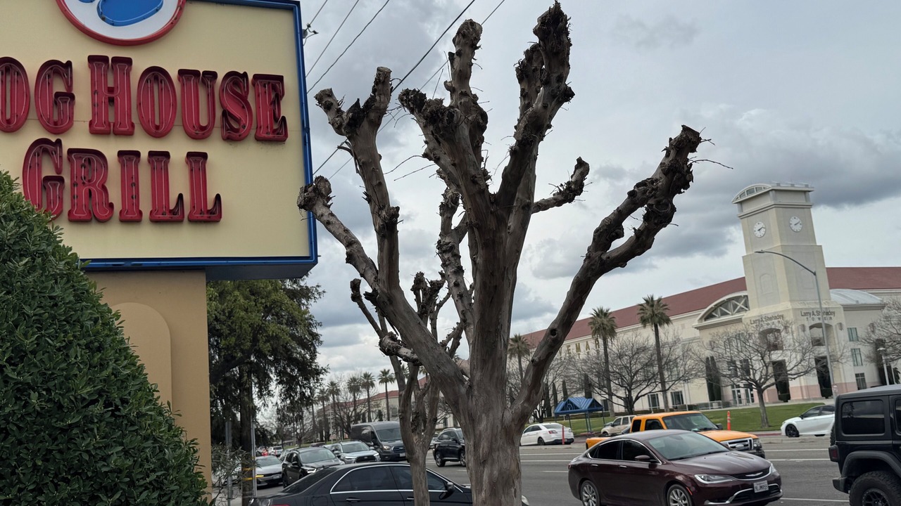 Photo of Outdoor in Raisin