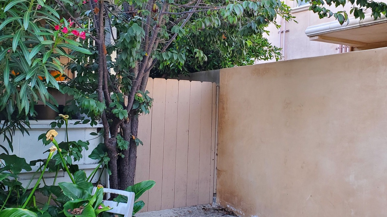 Photo of Outdoor in Palms