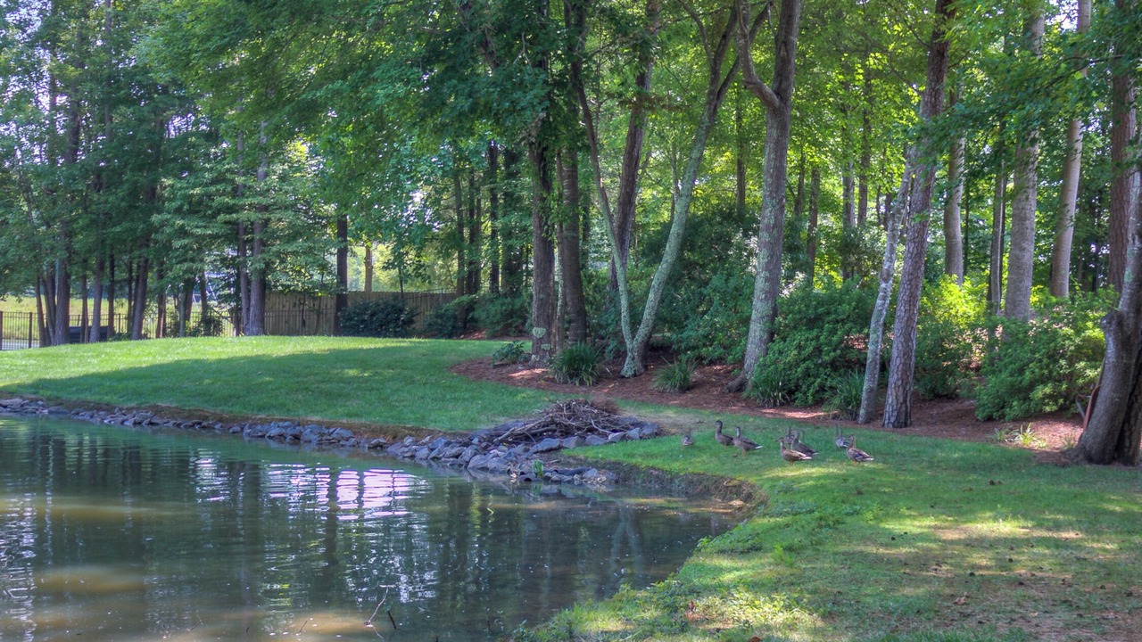 Photo of Outdoor in Weddington