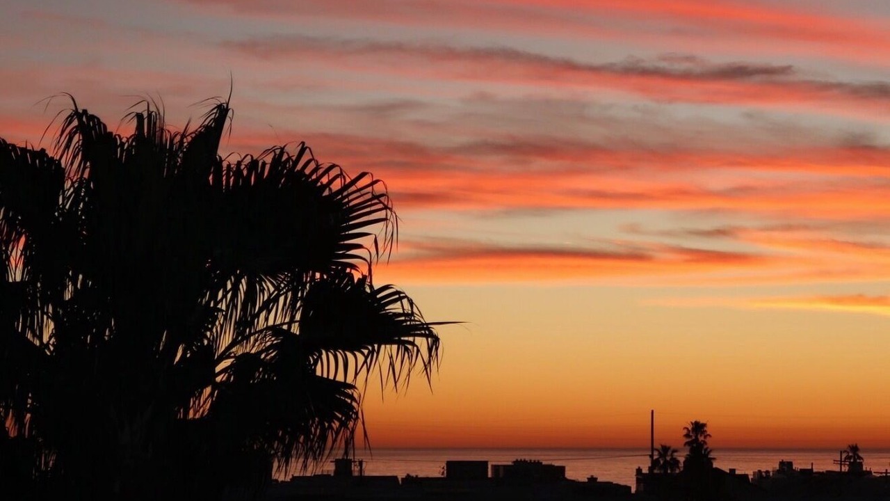 Photo of Others in Marina del Rey