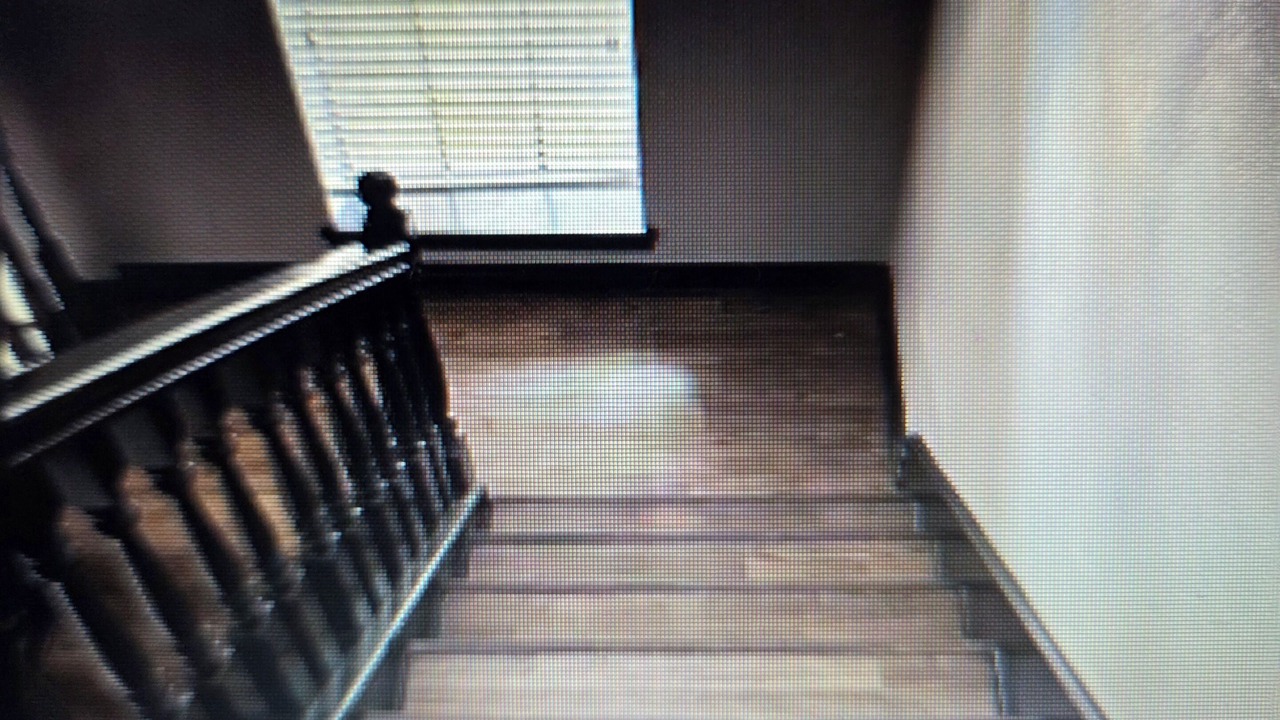 Photo of Others in Atascocita