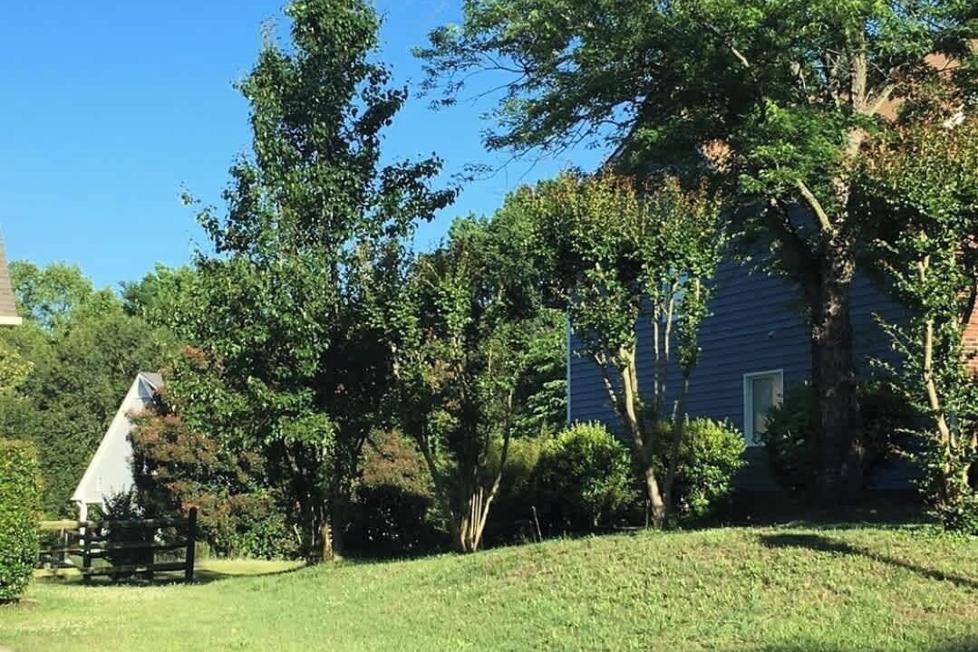 Photo of Outdoor in Charlotte