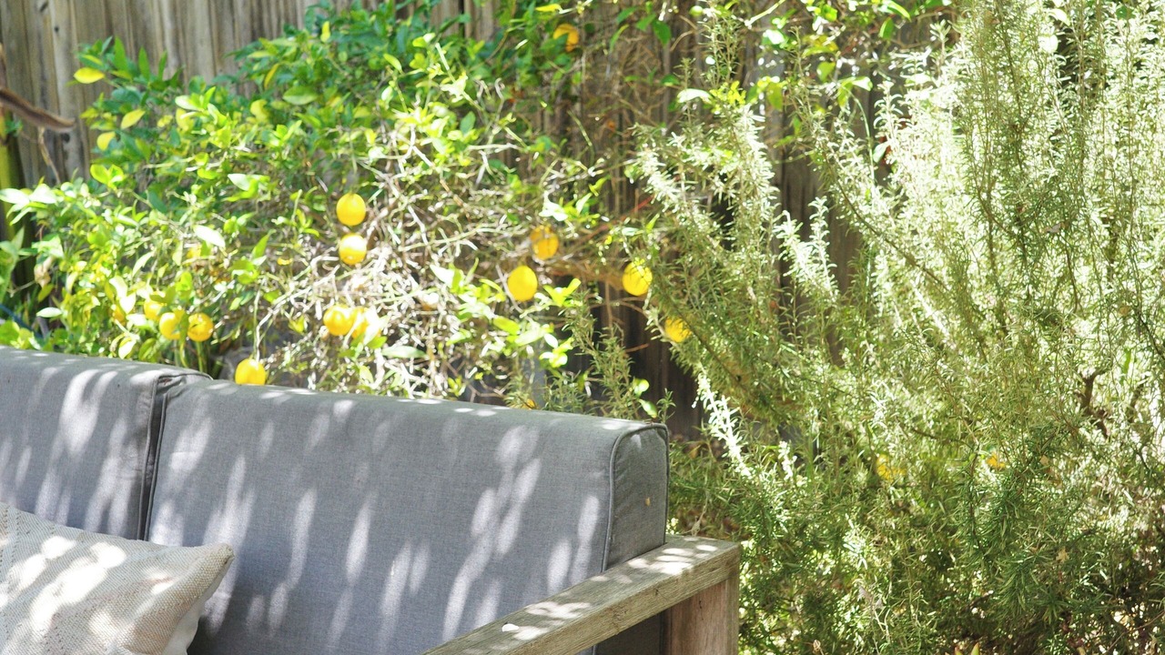 Photo of Patio Balcony in Mid-Wilshire