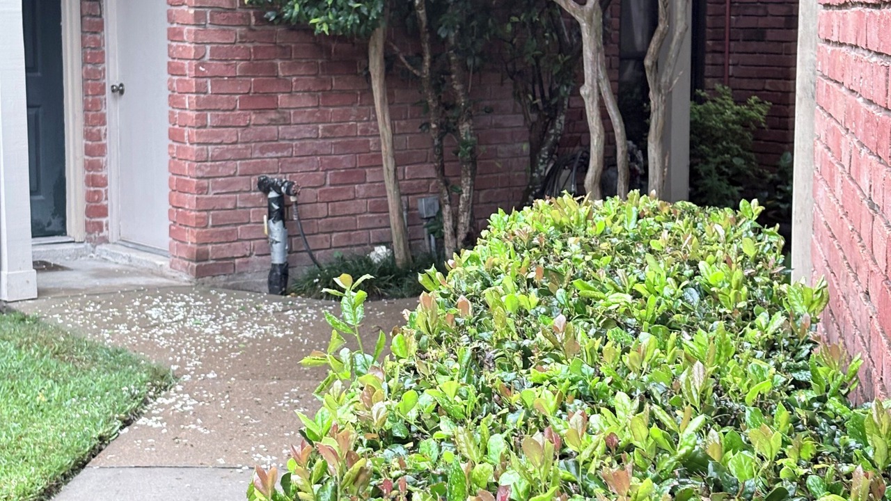 Photo of Outdoor in Briarforest