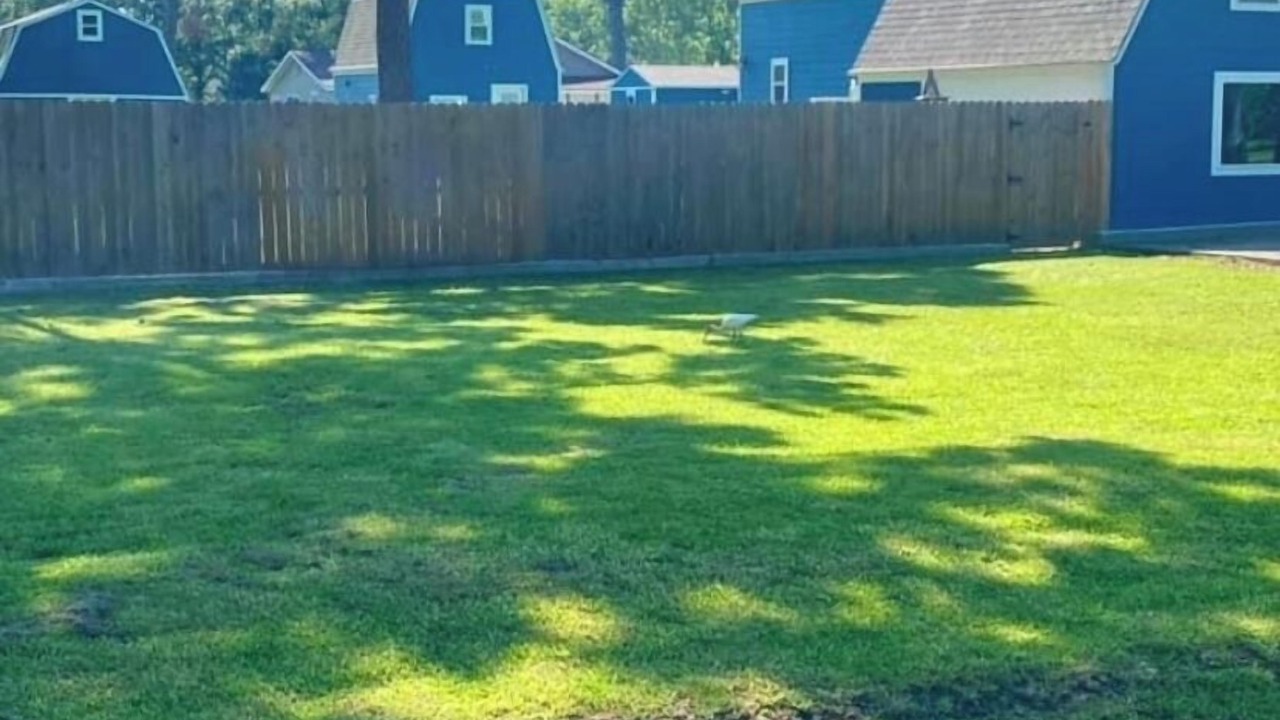 Photo of Outdoor in Dickinson