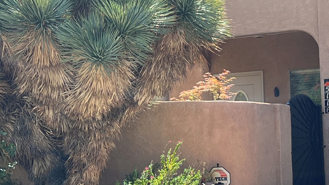 Photo of Outdoor in Taylor Ranch