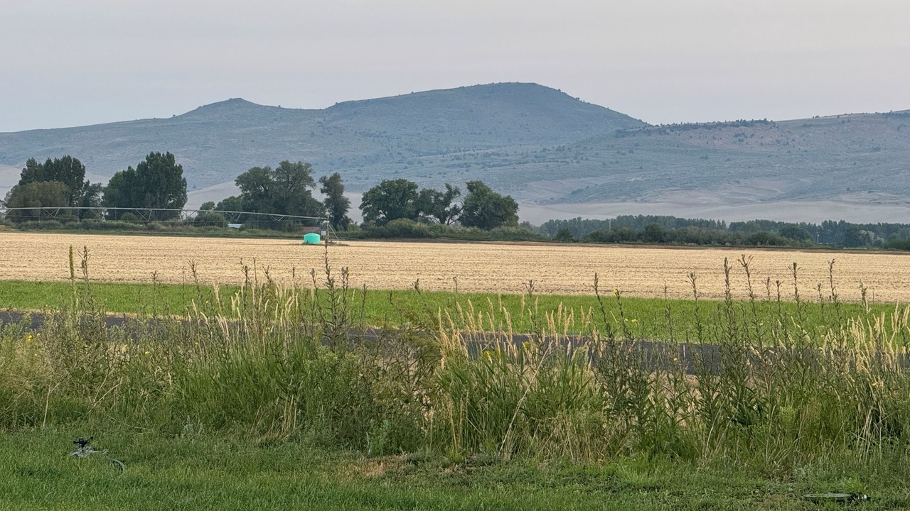 Photo of Others in St. Anthony