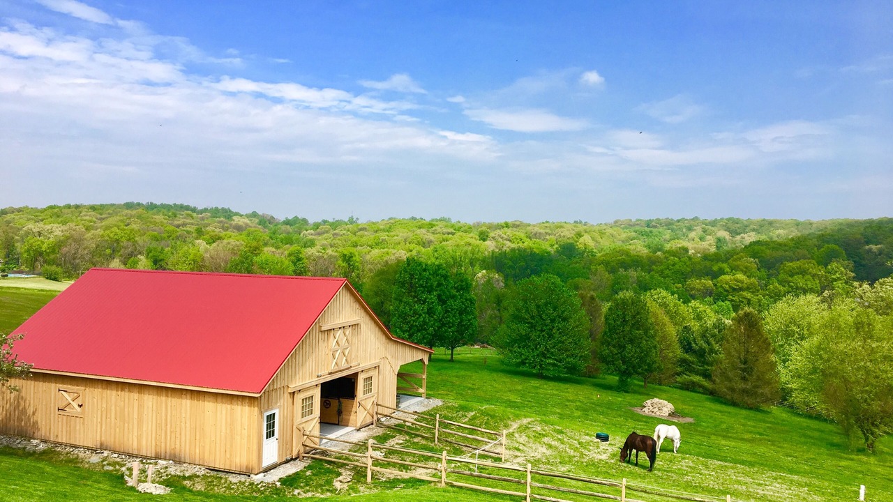 Photo of Outdoor in Holtwood