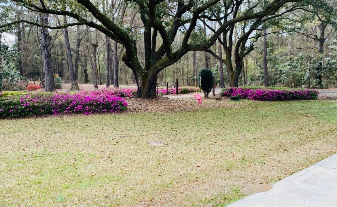 Photo of Outdoor in Ruffin